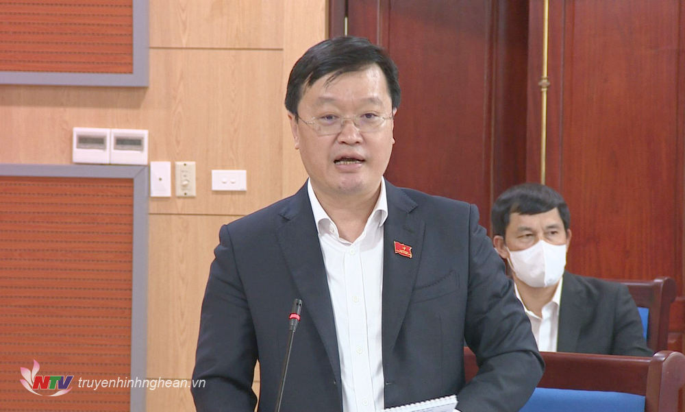 Chủ tịch UBND tỉnh Nguyễn Đức Trung phát biểu tại phiên thảo luận.