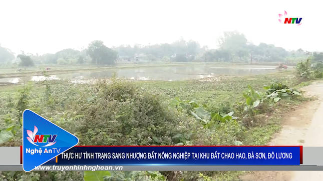 Thực hư tình trạng sang nhượng đất nông nghiệp tại khu đất Chao Hao, Đà Sơn, Đô Lương