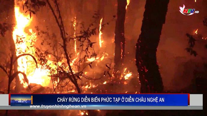 Cháy rừng diễn biến phức tạp ở Diễn Châu, Nghi Lộc