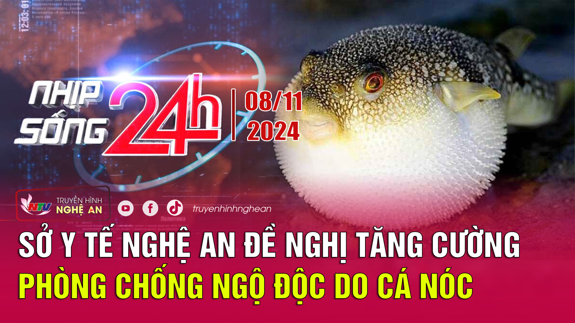 Bản tin Nhịp sống 24h - 08/11/2024: Sở Y tế Nghệ An đề nghị tăng cường phòng chống ngộ độc do cá nóc