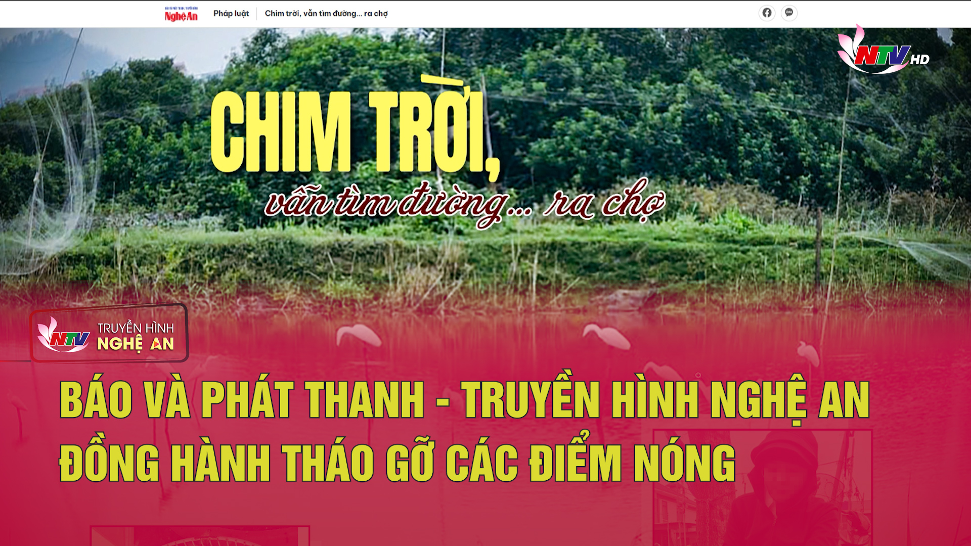Với khán giả NTV - 14/11/2025:  Báo và PT-TH Nghệ An đồng hành tháo gỡ các điểm nóng