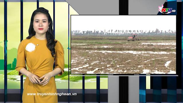 Nghệ An ngày mới - 09/12/2020