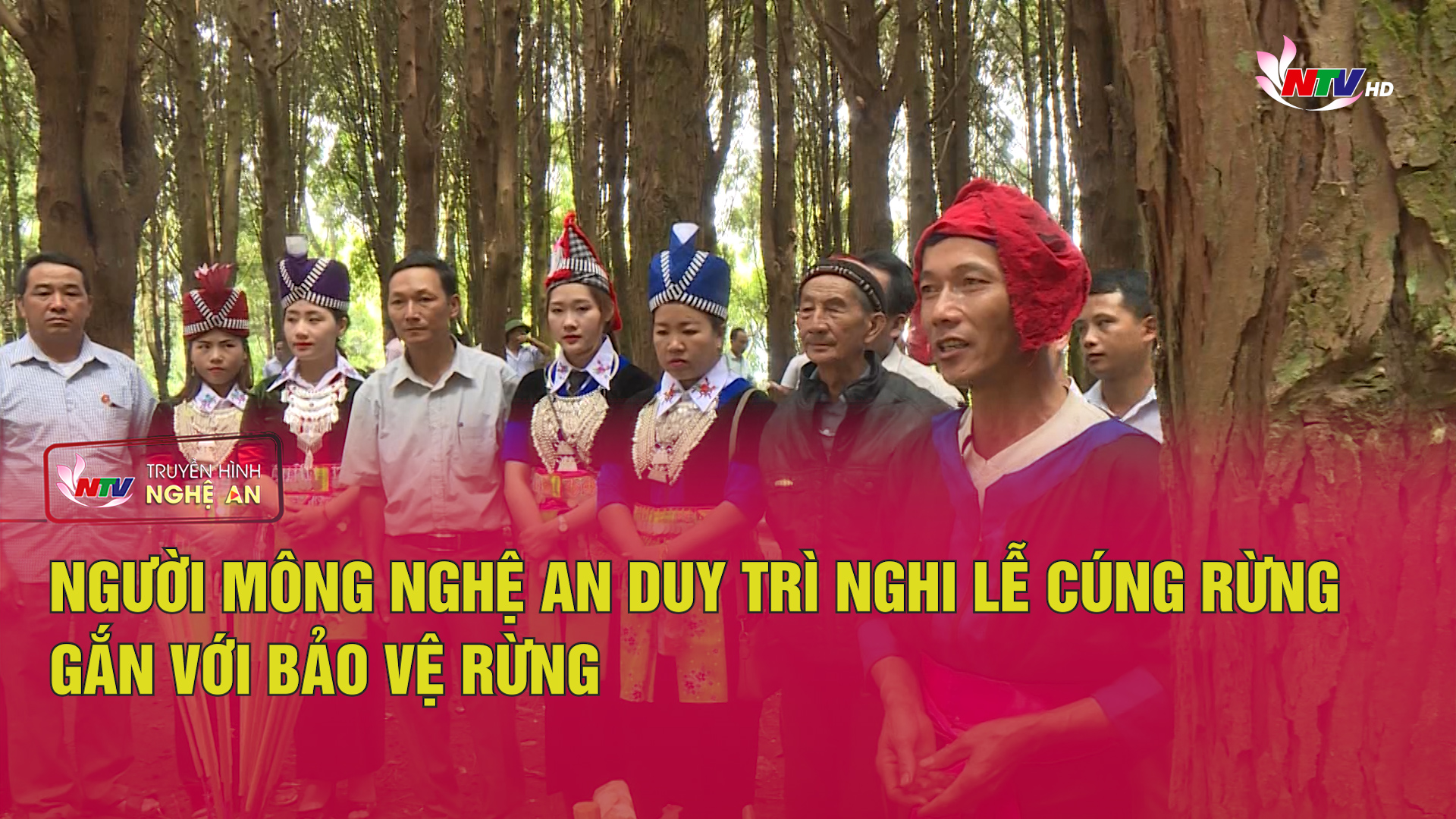 Người Mông Nghệ An duy trì nghi lễ cúng rừng gắn với bảo vệ rừng