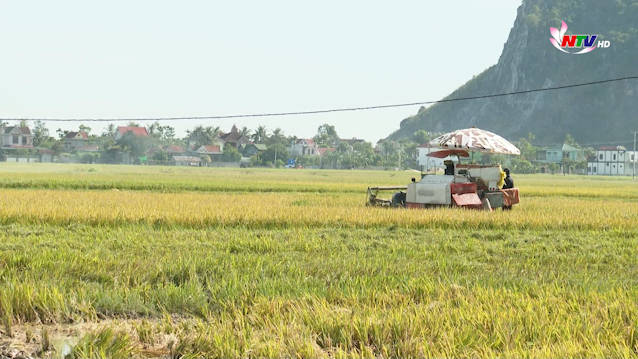 Nghệ An: Nông nghiệp tăng trưởng dẫn đầu vùng Bắc Trung bộ