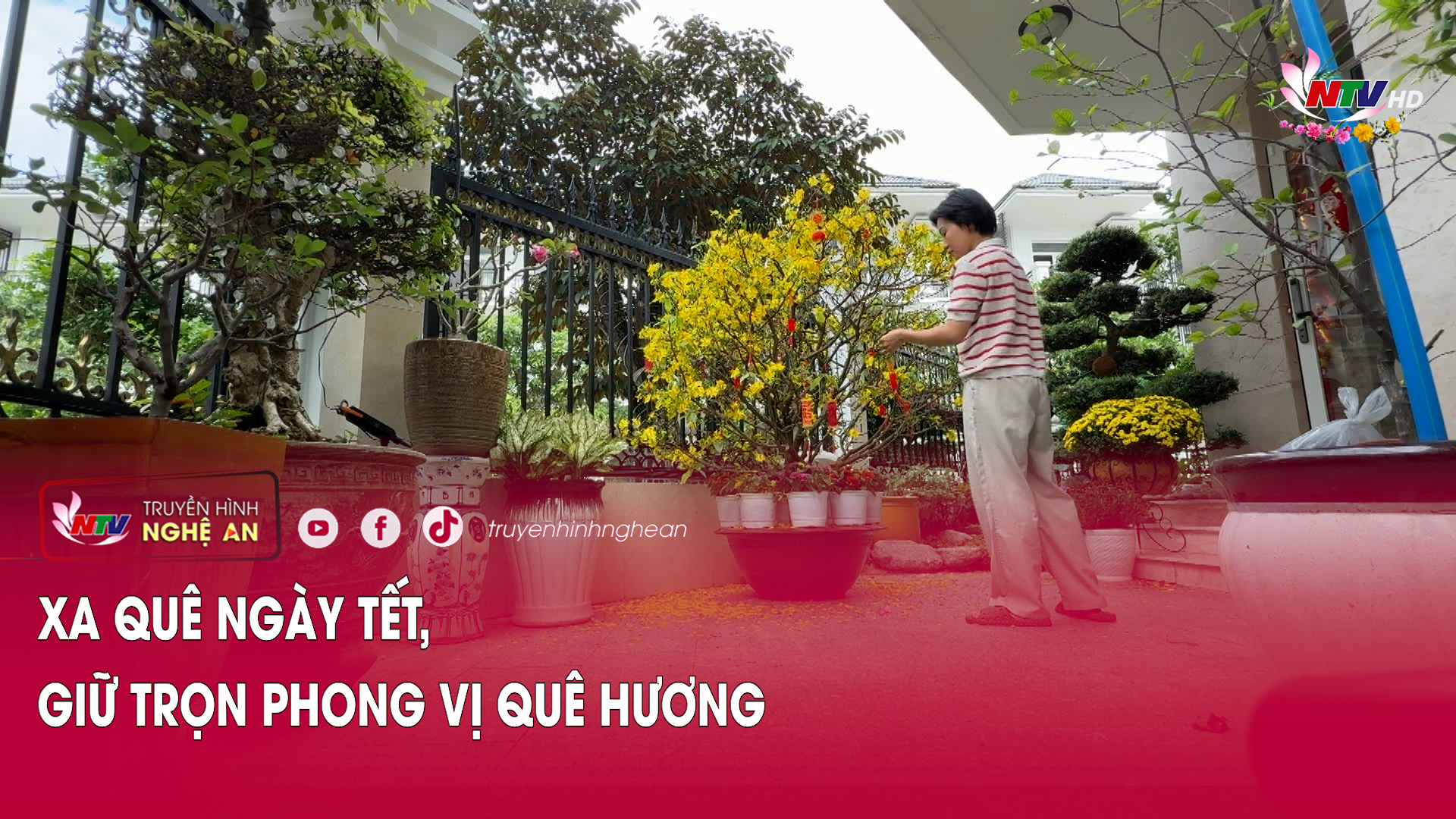 Xa quê ngày Tết, giữ trọn phong vị quê hương