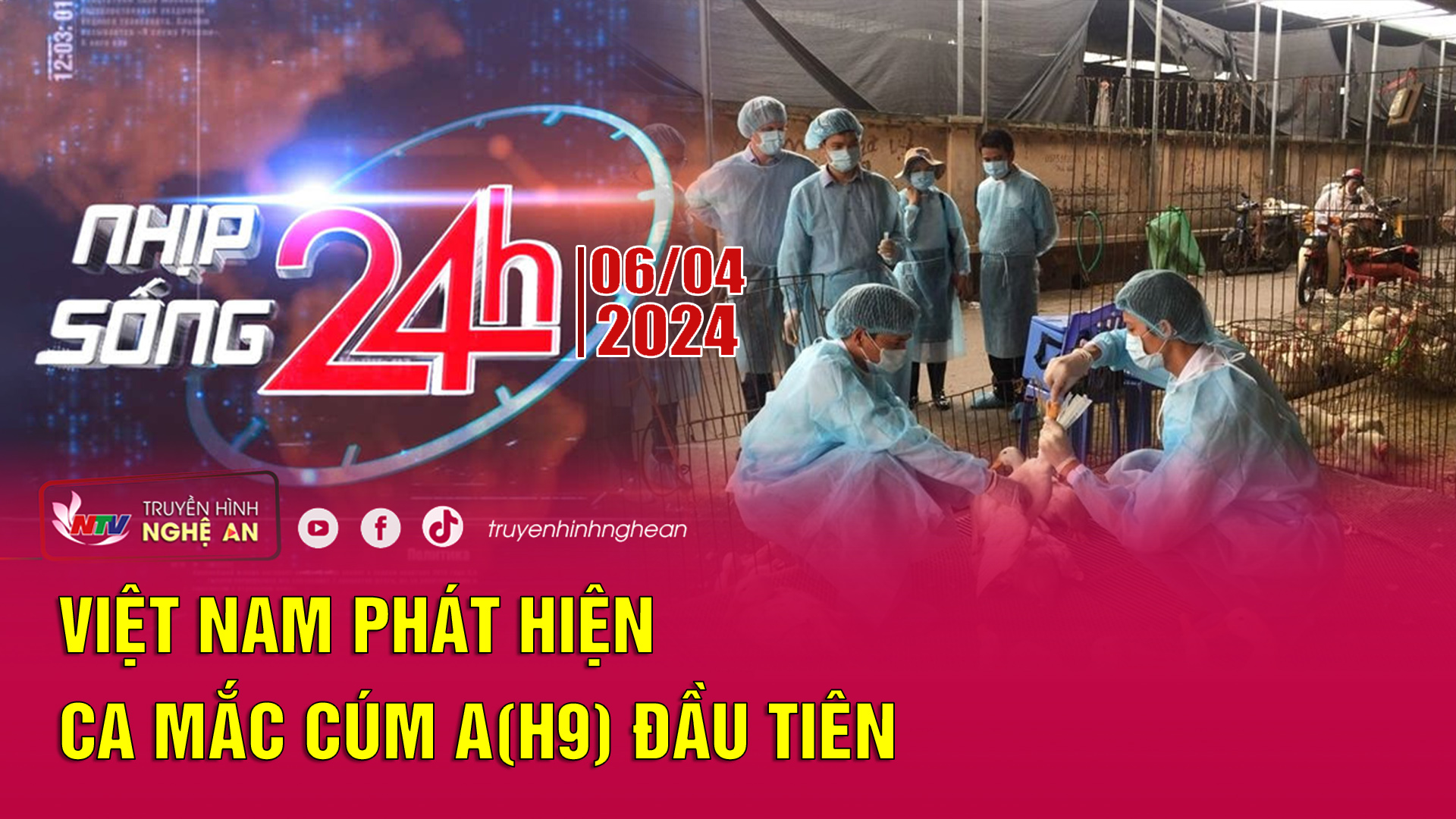 Bản tin Nhịp sống 24h - 06/04/2024: Việt Nam phát hiện ca mắc cúm A(H9) đầu tiên