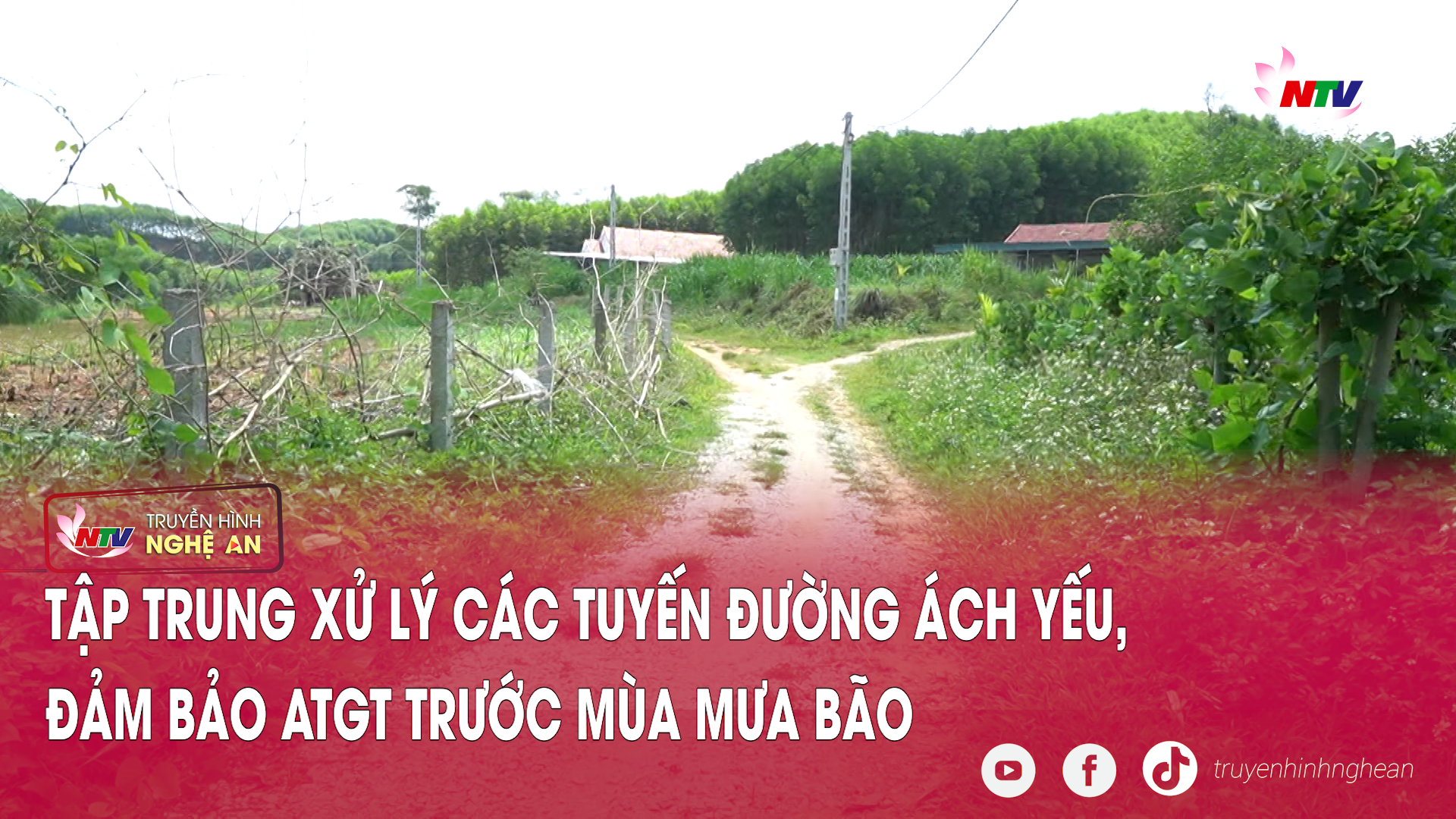 Bản tin An toàn giao thông ngày 12/05/2026