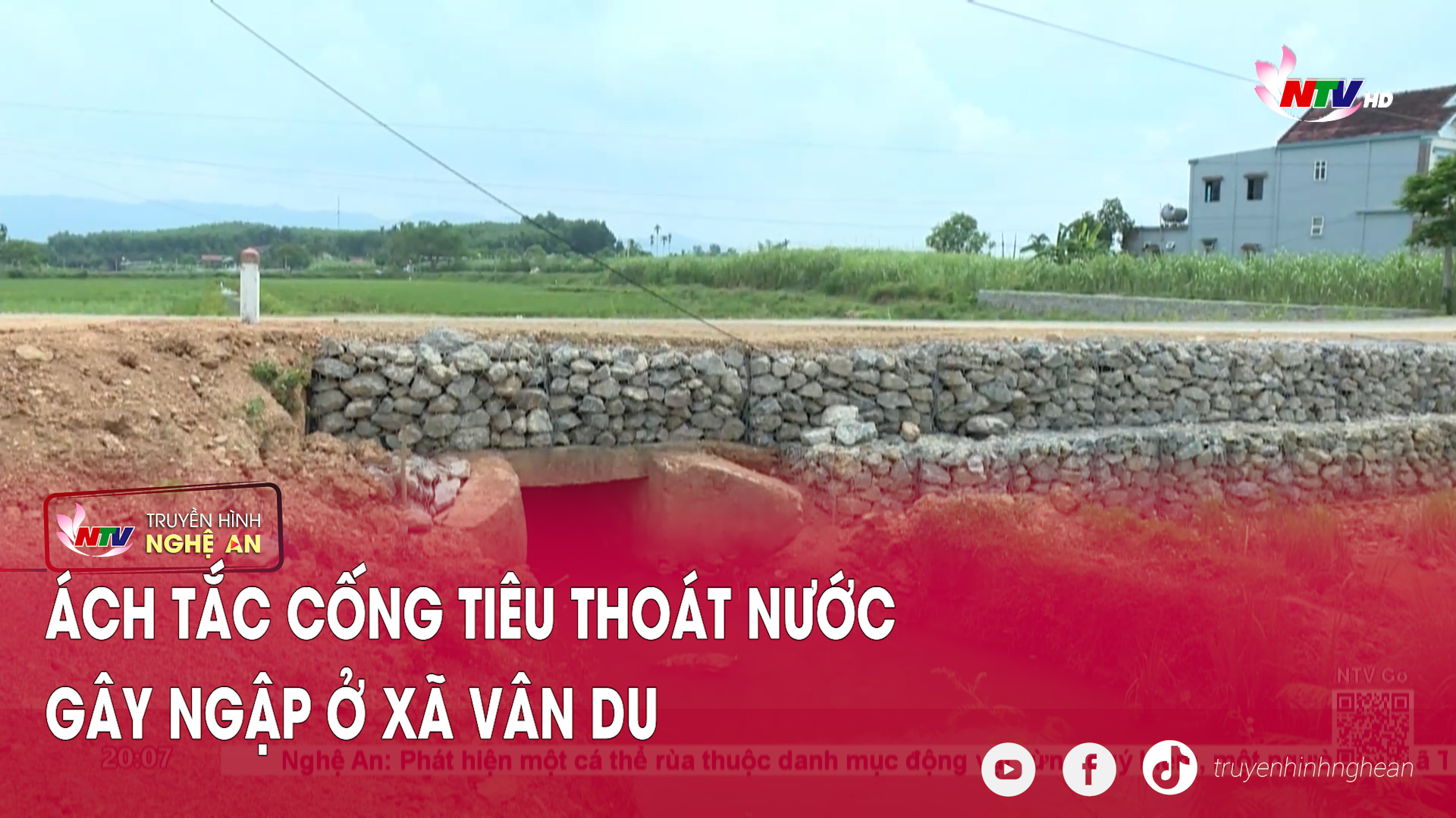 Ách tắc cống tiêu thoát nước gây ngập ở xã Vân Du