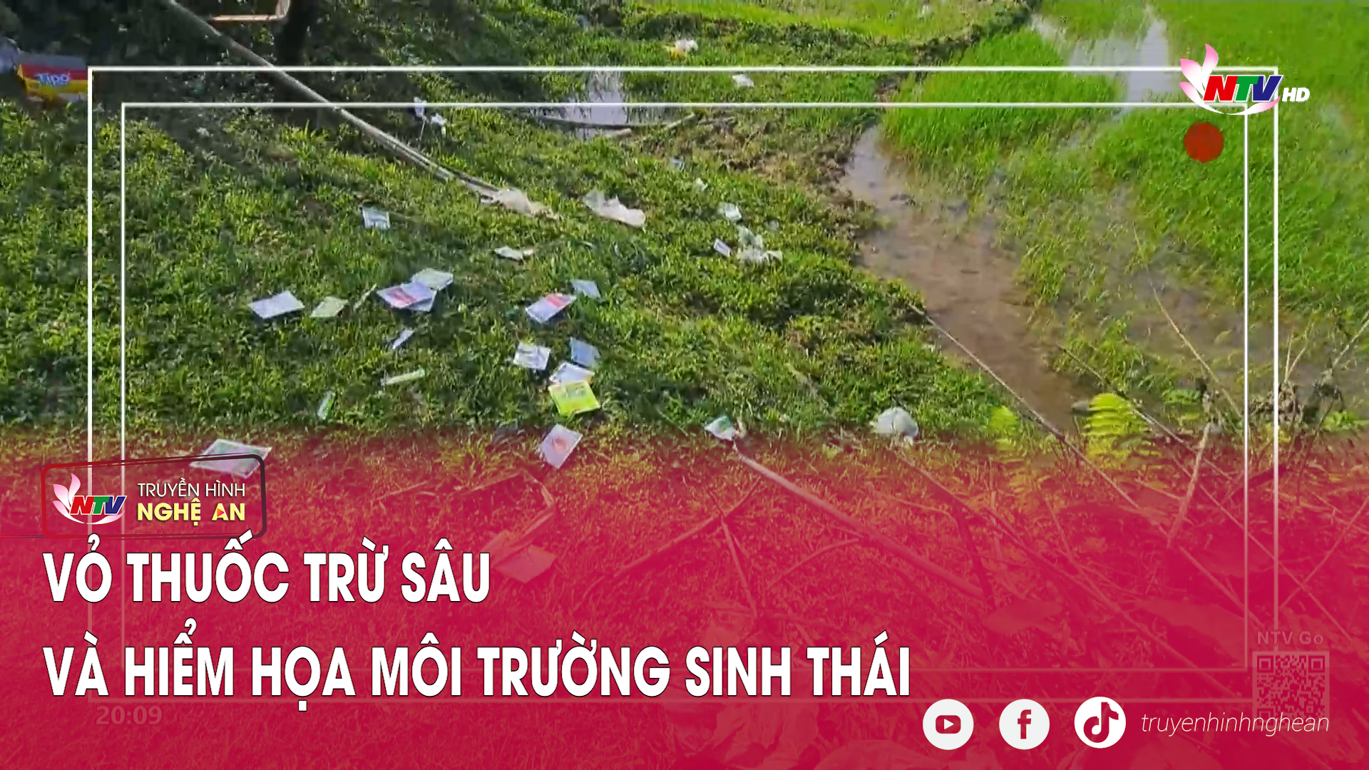 Vỏ thuốc trừ sâu và hiểm họa môi trường sinh thái