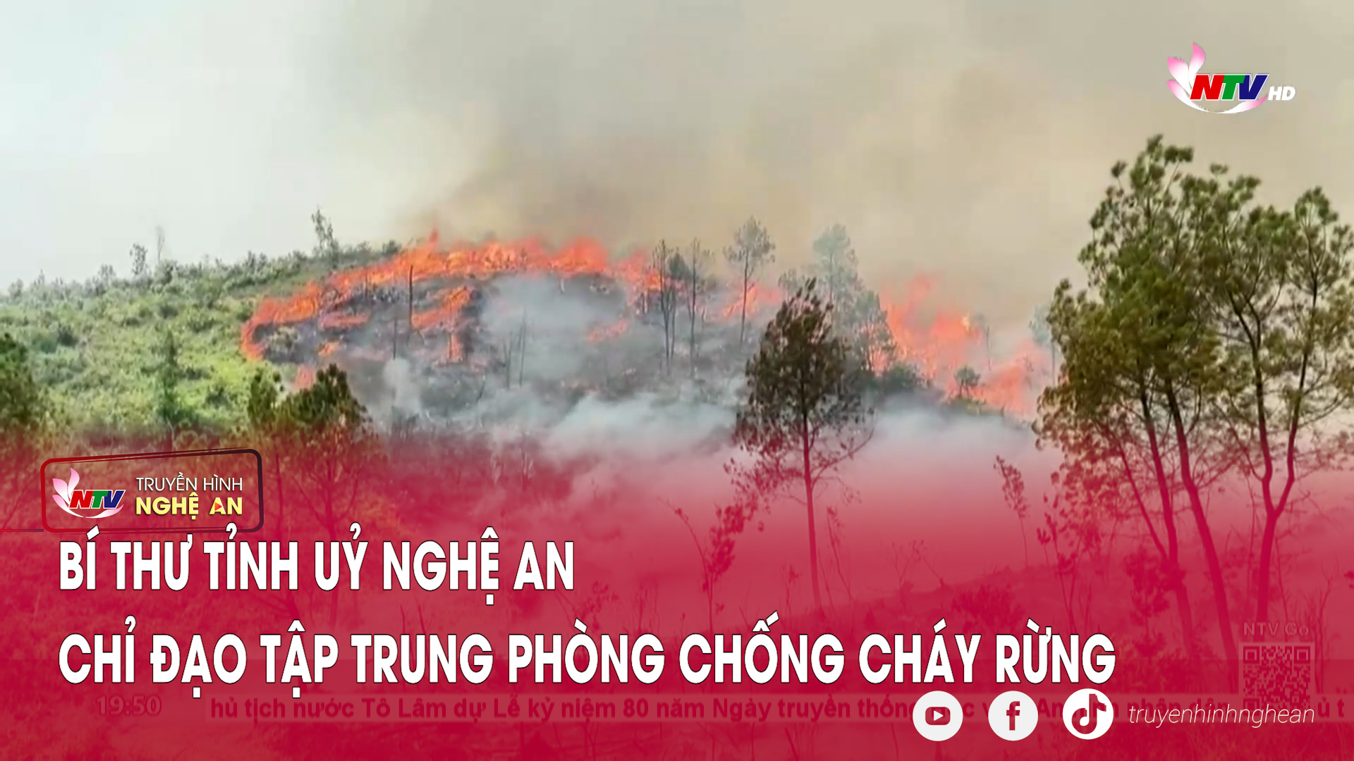 Bí thư Tỉnh uỷ Nghệ An chỉ đạo tập trung phòng chống cháy rừng
