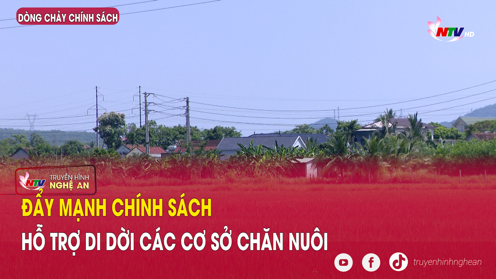 Dòng chảy chính sách: Đẩy mạnh chính sách hỗ trợ di dời các cơ sở chăn nuôi