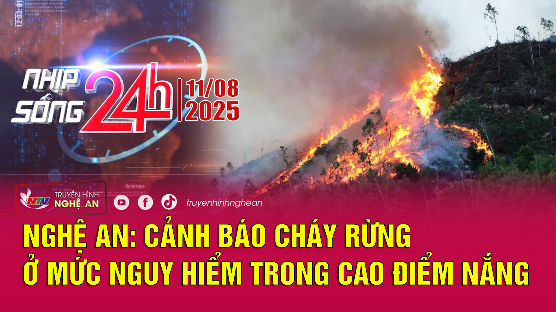 Bản tin Nhịp sống 24h - 11/08/2025: Nghệ An: Cảnh báo cháy rừng ở mức nguy hiểm trong cao điểm nắng nóng