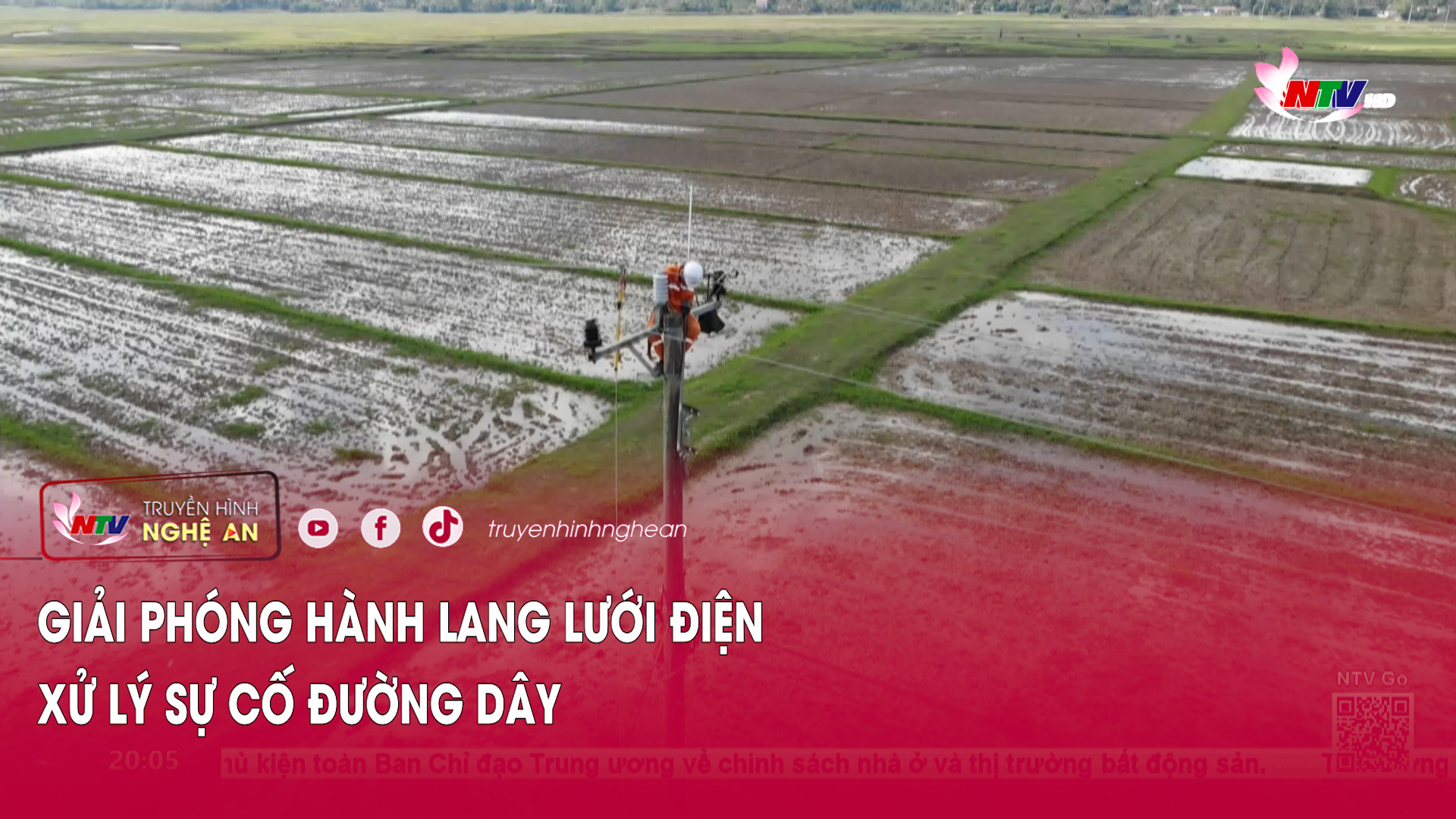 Giải phóng hành lang lưới điện, xử lý sự cố đường dây