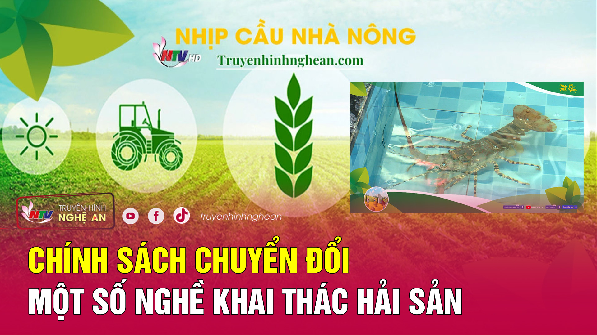 Nhịp cầu nhà nông: Chính sách chuyển đổi một số nghề khai thác hải sản