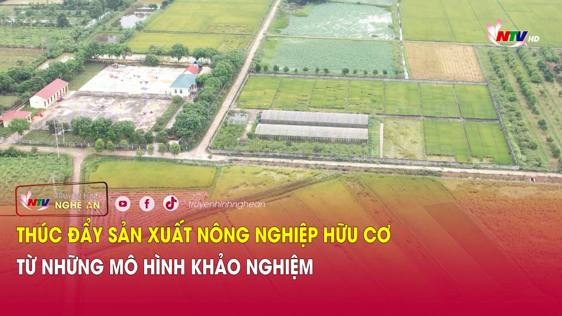 Thúc đẩy sản xuất nông nghiệp hữu cơ từ những mô hình khảo nghiệm