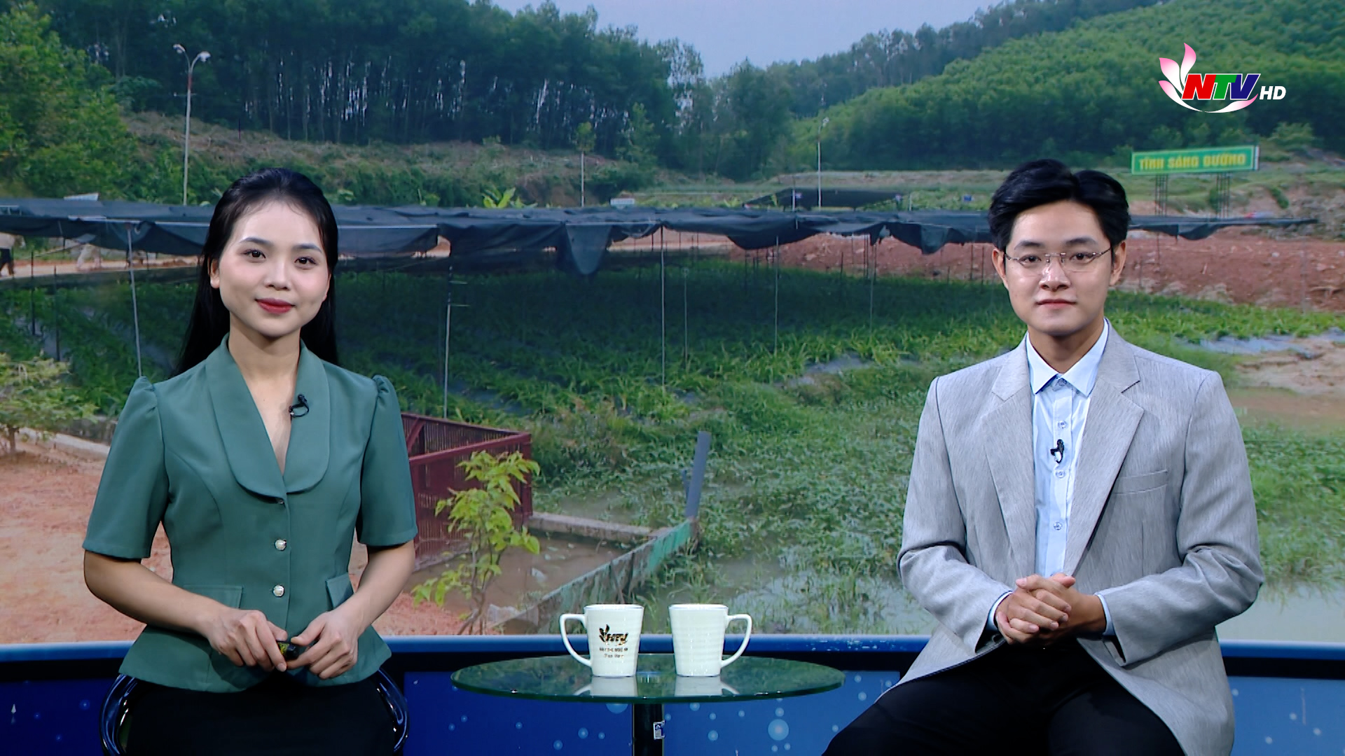 Nghệ An ngày mới - 03/11/2025