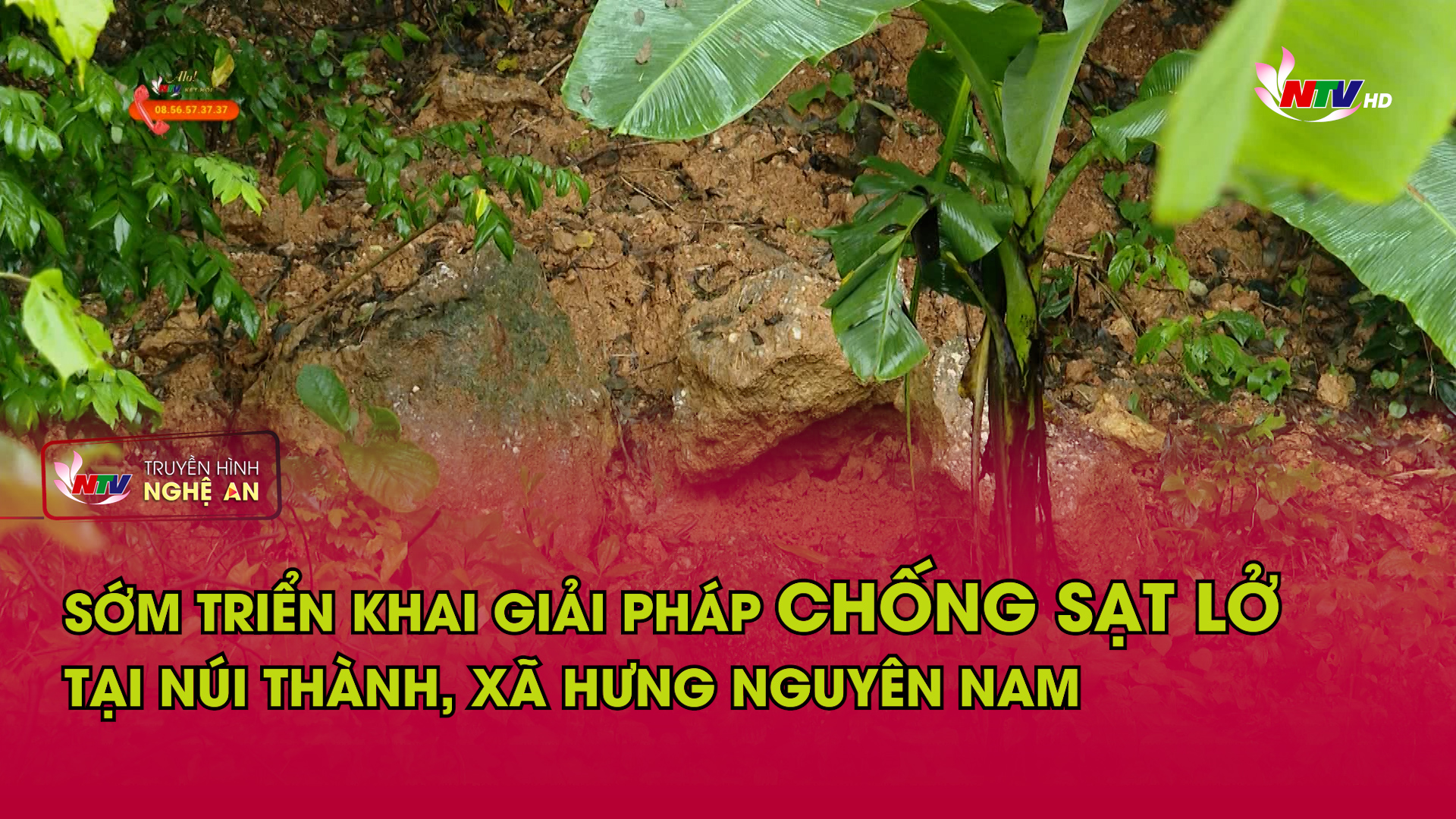 Sớm triển khai giải pháp chống sạt lở tại núi Thành, xã Hưng Nguyên Nam