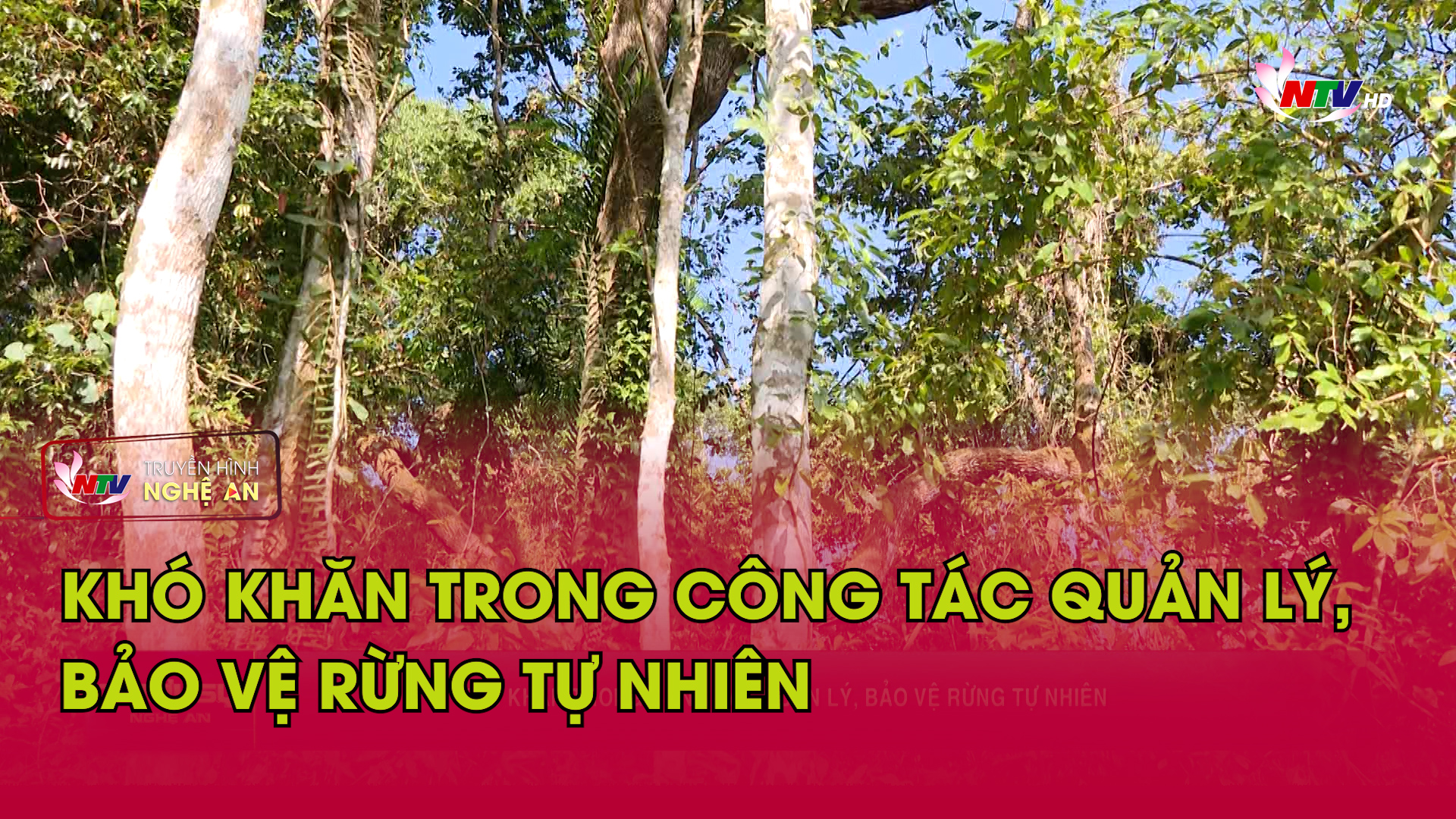 Khó khăn trong công tác quản lý, bảo vệ rừng tự nhiên