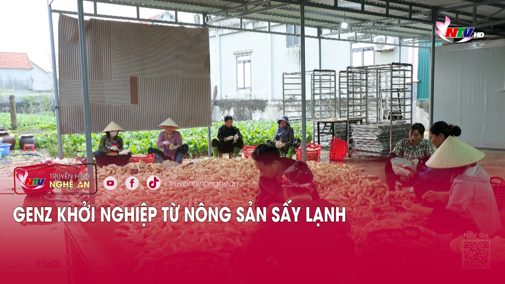 GenZ khởi nghiệp từ nông sản sấy lạnh