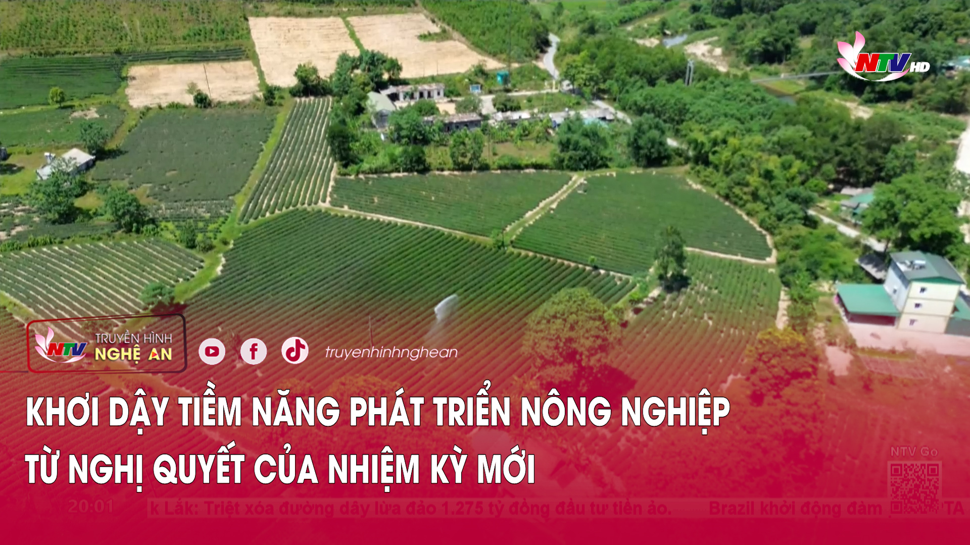 Khơi dậy tiềm năng phát triển nông nghiệp từ Nghị quyết của nhiệm kỳ mới